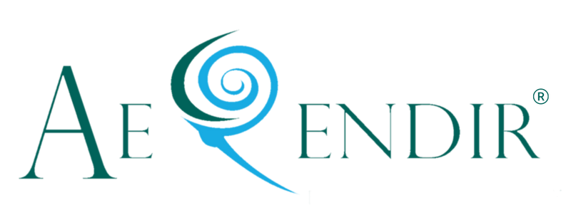Aerendir Mobile Inc.